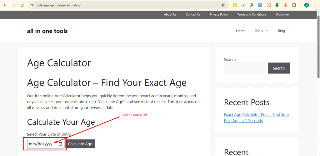 Real Age Calculator Free – Instant DOB to Age