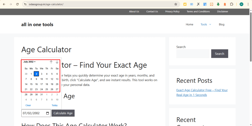 Real Age Calculator Free – Instant DOB to Age